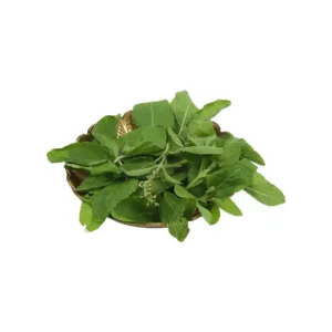 Basil Leaves