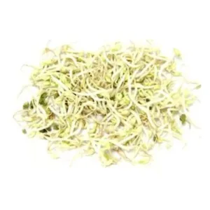 Beans Sprouts