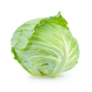 Cabbage