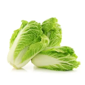 Chinese Cabbage