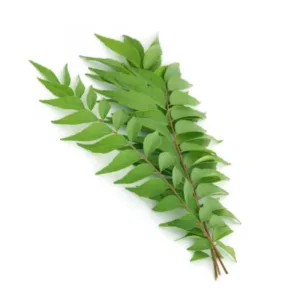 Curry Leaves