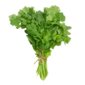 Fresh Coriander Leaves (without stem)