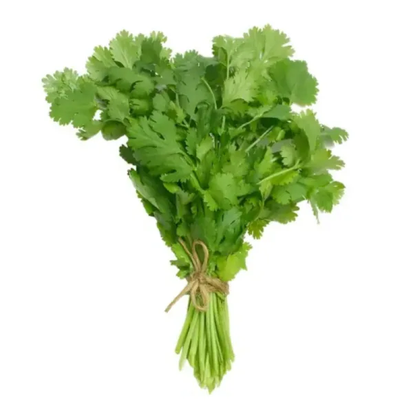 Fresh Coriander Leaves (without stem)