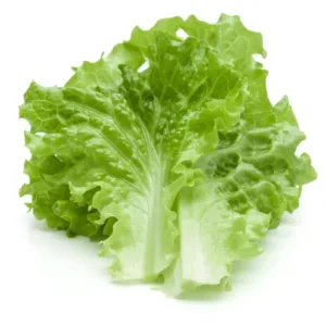Lettuce-Green-Leafy