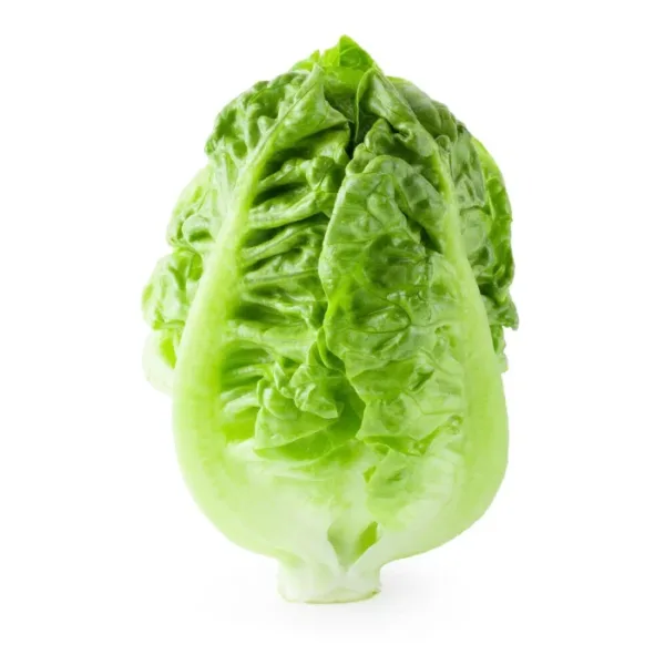 Lettuce Iceberg (Bulk)