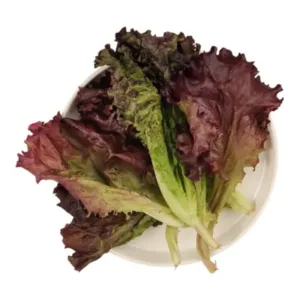 Lettuce Loloroso/Red