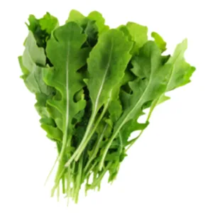 Lettuce Rocket / Argula