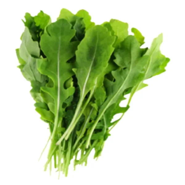 Lettuce Rocket / Argula