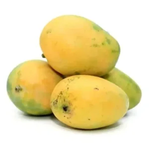 mango-safeda