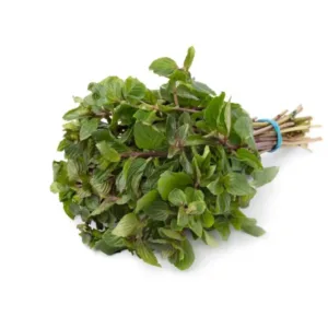 Mint Leaves