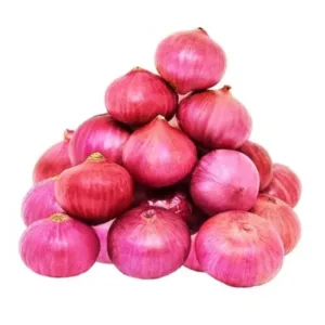 Onion