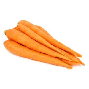 Orange Carrot Premium