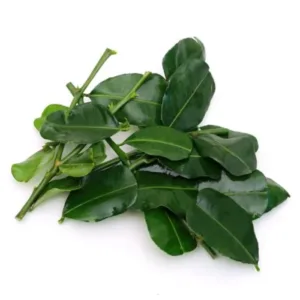 kaffir-lime-leaves