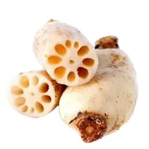 Lotus Stem