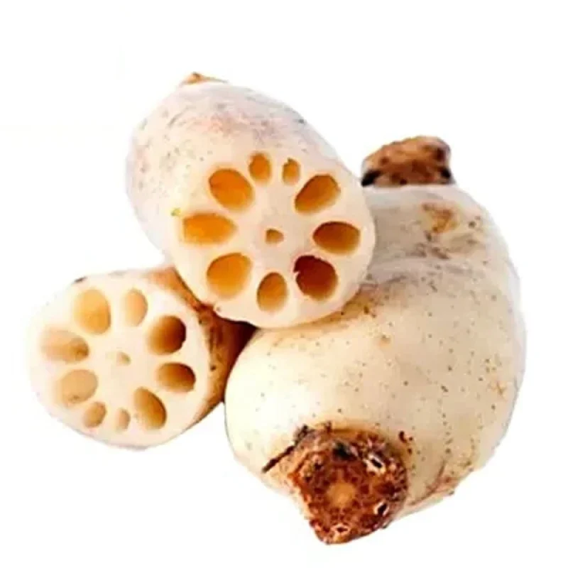 lotus-stem-35463257326 Lotus Stem